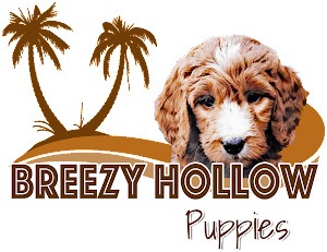 Breezy Hollow Puppies LLC